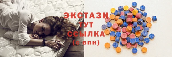 гидра Карпинск