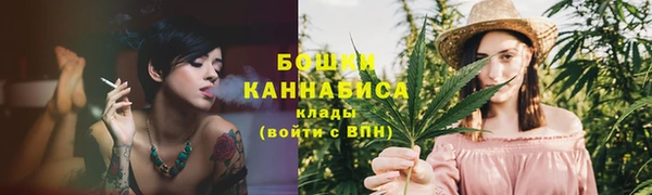 прущая мука Каменка