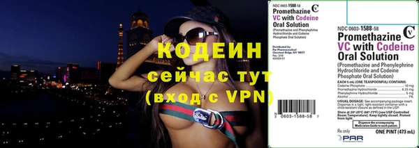 гидра Карпинск