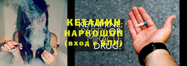 гидра Карпинск