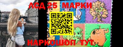 шишки Апшеронск