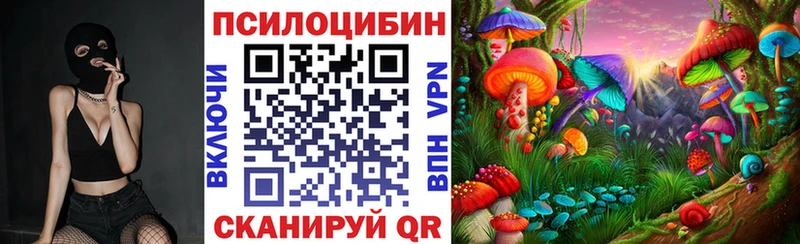 OMG рабочий сайт наркота Кирово-Чепецк Псилоцибиновые грибы мухоморы