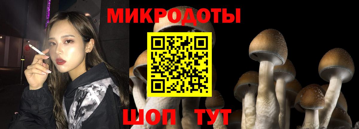 Псилоцибиновые грибы MAGIC MUSHROOMS  купить наркотики цена  Кирово-Чепецк  Псилоцибиновые грибы прущие грибы  Вход с VPN 